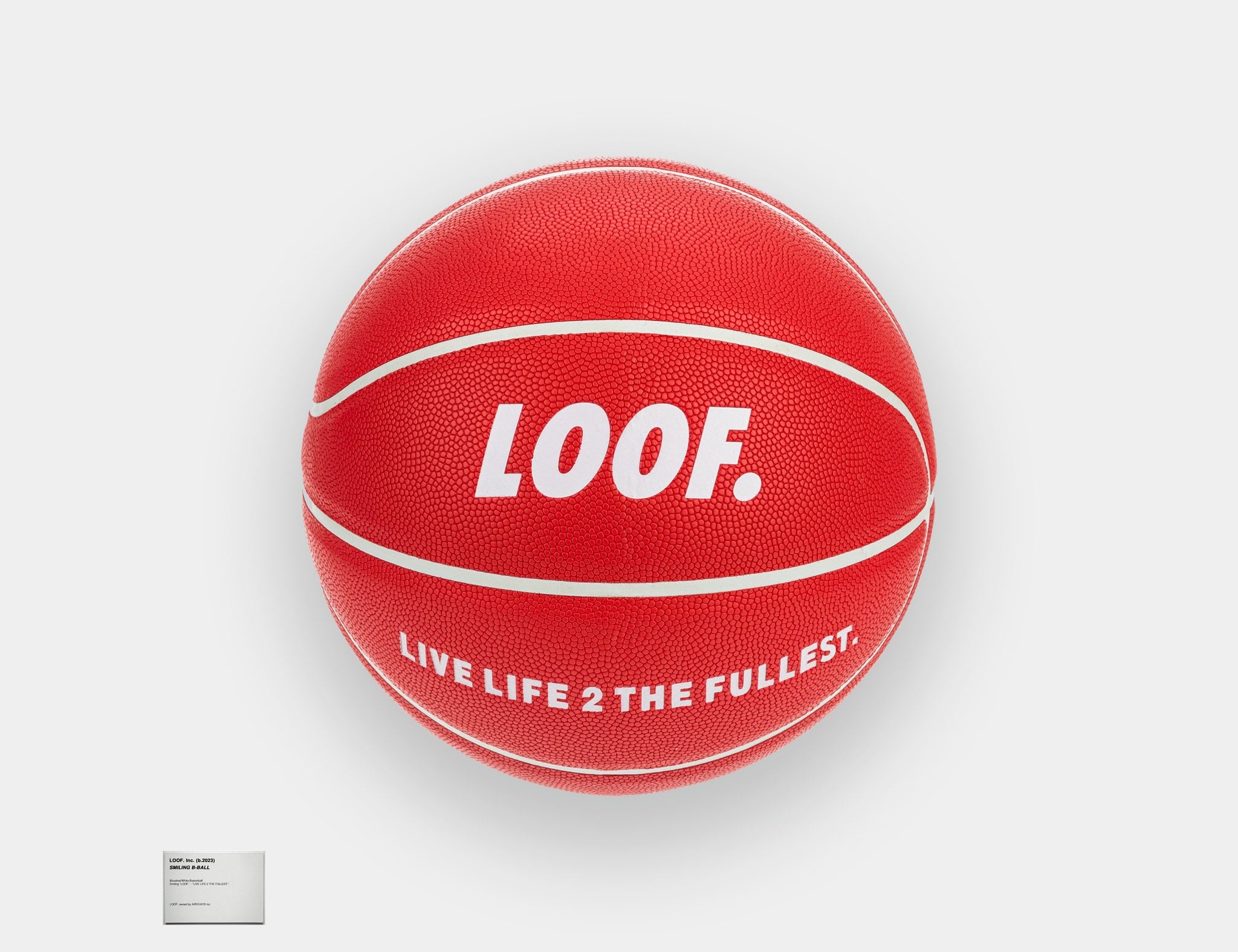 LOOF. Basketball - Basketball - LOOF