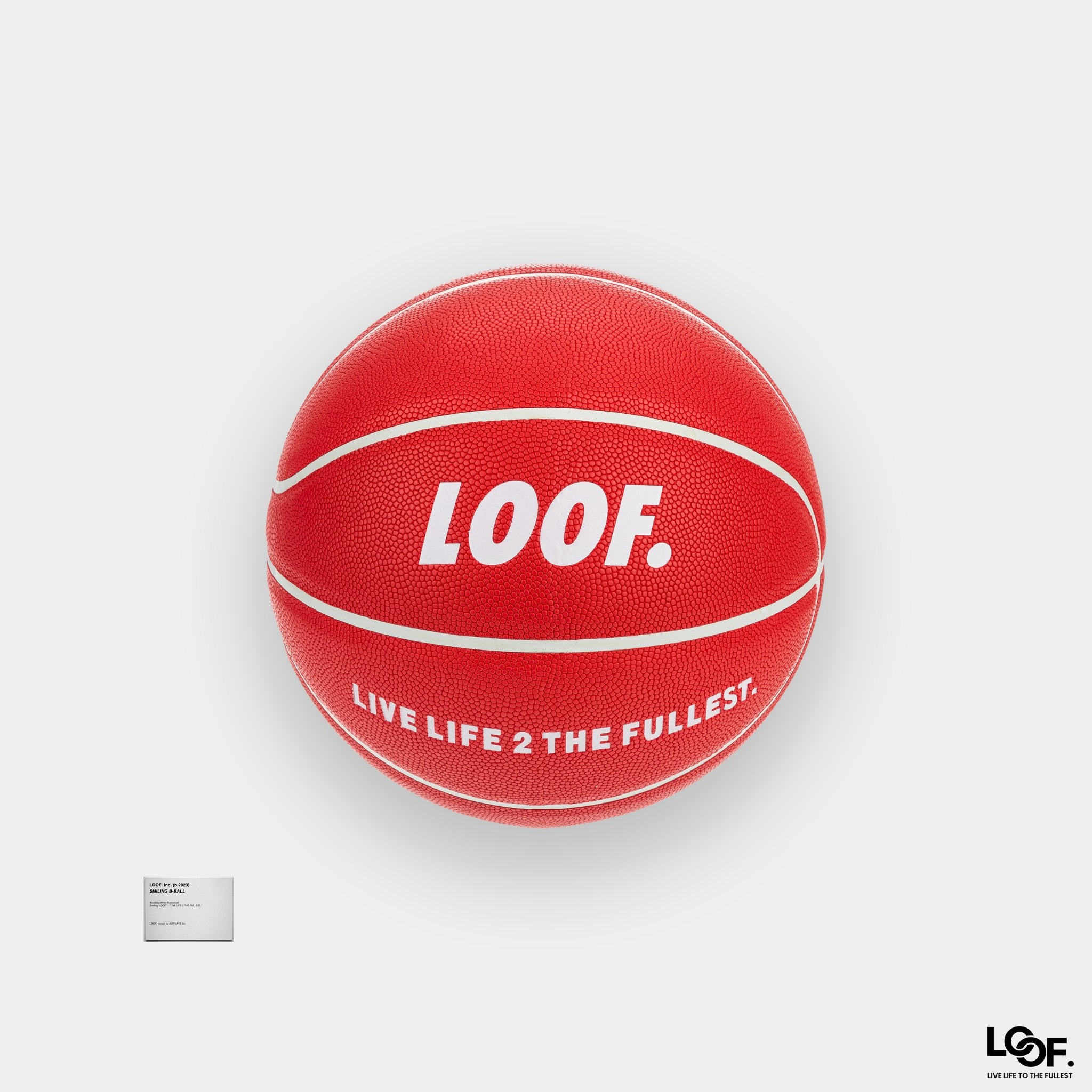 LOOF. Basketball - Basketball - LOOF